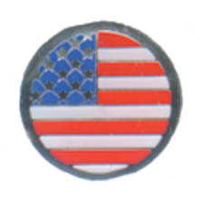 USA Flag Logo Special