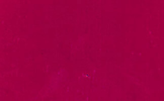 Acrylic Red Rod