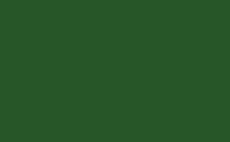 Acrylic Green Rod