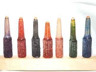Set of 7 Stabilized Corn Cobb