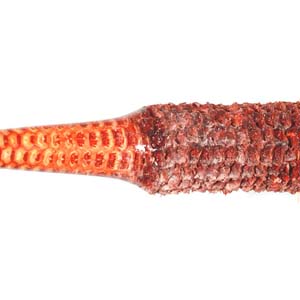 Orange Stabilized Corn Cobb