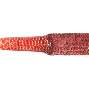 Red Stabilized Corn Cobb
