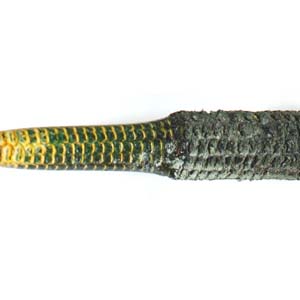 Green Stabilized Corn Cobb
