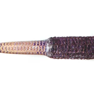 Purple Stabilized Corn Cobb
