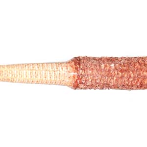 Natural Stabilized Corn Cobb